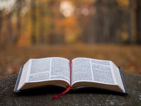 Reformed D’Kar February Easter